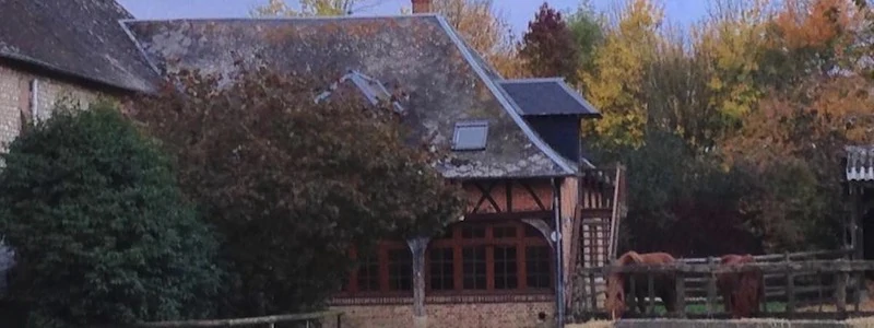 photo6
